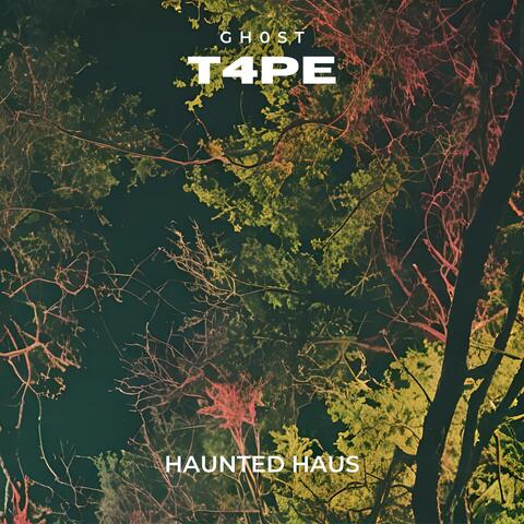 HAUNTED HAUS-SINGLE