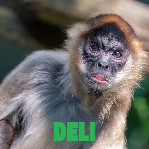Deli