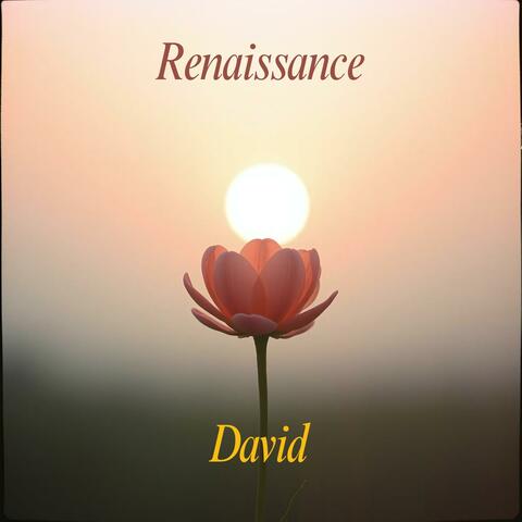David, Renaissance