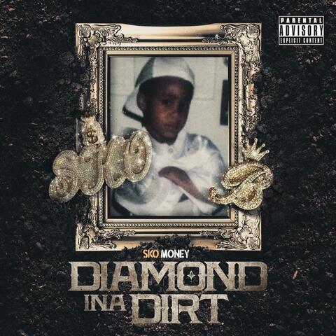Diamond Ina Dirt