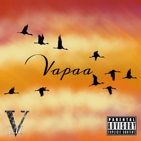Vapaa