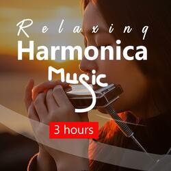 Calm Harmonica Instrumentals_p