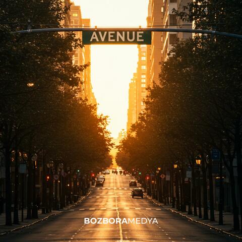 AVENUE