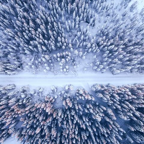 COLD.