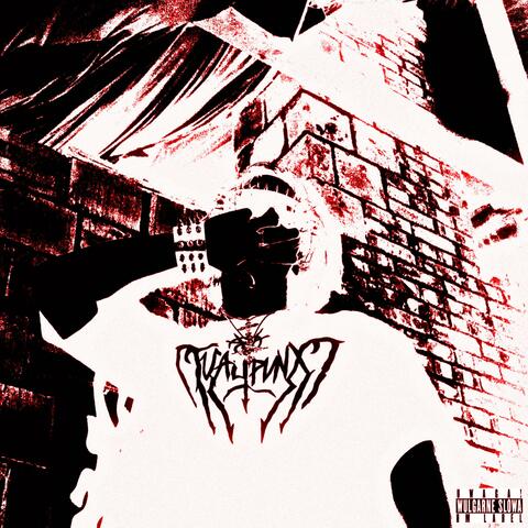 JxC ANTHEM (feat. prodby.tymbark & młodyflurry) [WERSJA KONCERTOWA]