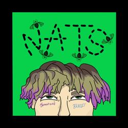 N.A.T.S.