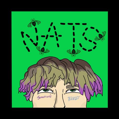 N.A.T.S.