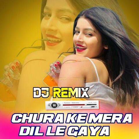 Chura Ke Mera Dil Le Gaya Dj Hit Song