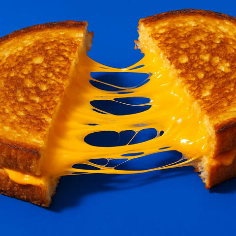cheddar cheese sandwich
