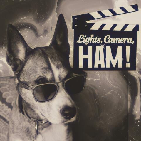 Lights, Camera, Ham!