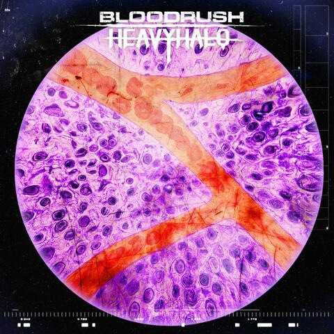 Bloodrush