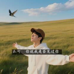 你说我是否见过你