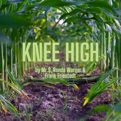 Knee High (feat. Ronda Warner & Frank Friestedt)