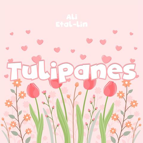 Tulipanes