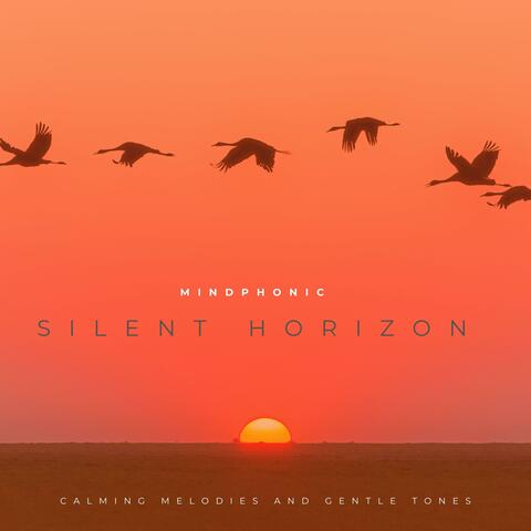 Silent Horizons