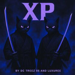X (Boost) (feat. Luxuree)