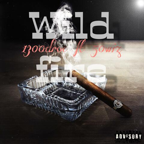 Wild fire (feat. 50 wiz)