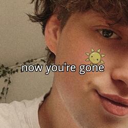 now you're gone