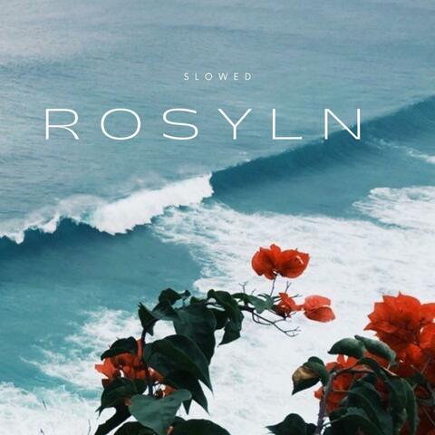 roysyln (slowed & reverb)