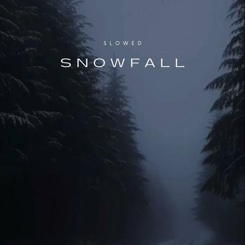 snowfall  (Slowed  & Reverb)