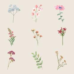 Flowers