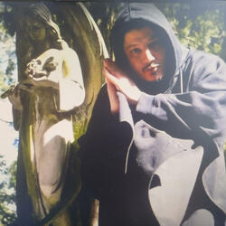 Il Giardino Di Pietre