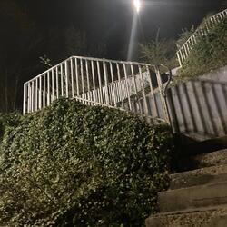 I should've told her