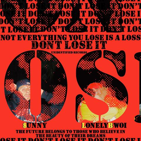 DON'T LOSE IT (feat. $unny Hu$tles)