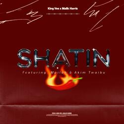 Shatin (feat. King Vee, Malik Harris SA & Mpiloh)