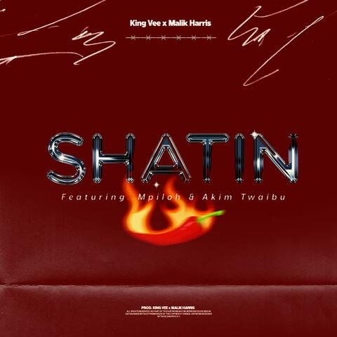 Shatin (feat. King Vee, Malik Harris SA & Mpiloh)