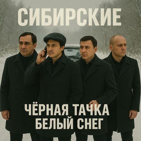 Черная тачка, белый снег