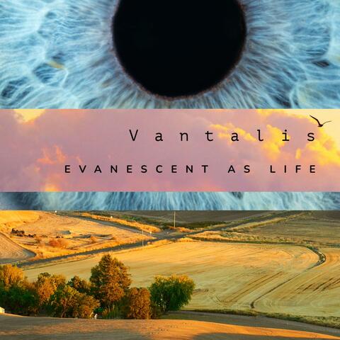 Evanescent as Life