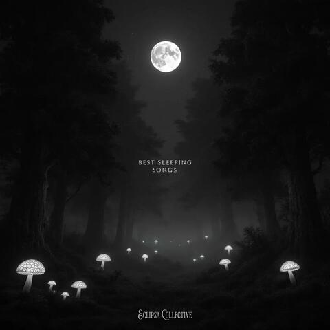 Best Sleeping Songs