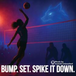 Bump. Set. Spike It Down.