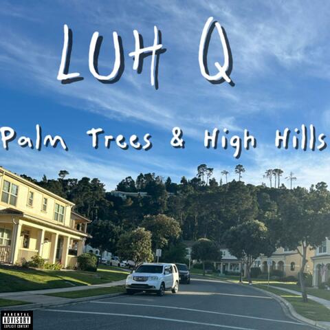 Palm Trees & High Hills