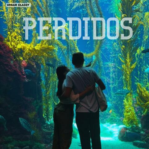 Perdidos