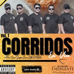 De Periódico Un Gallito