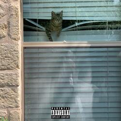 WINDOW (feat. Hwy Foe)