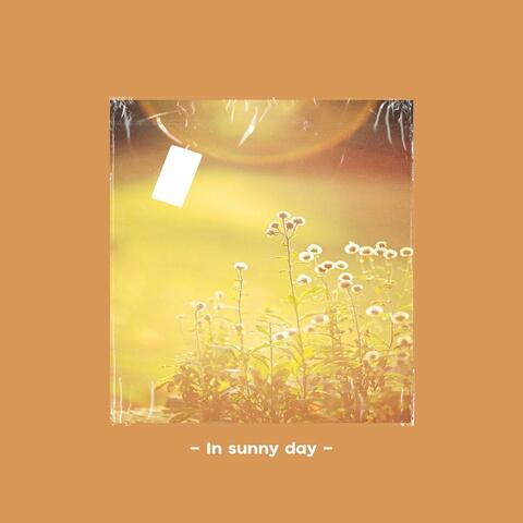 In sunny day