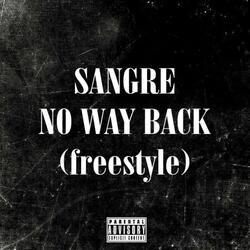 NO WAY BACK (freestyle)