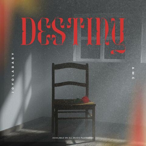 Destiny (feat. Joyolababy)