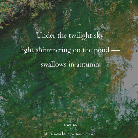 under the twilight sky