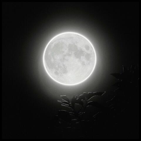 ¿Cuántas lunas hay que ver morir en otoño?