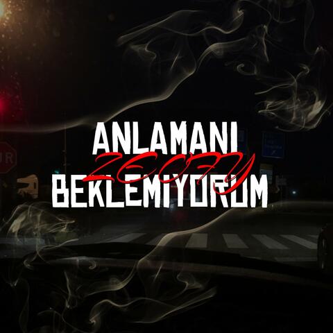 Anlamanı Beklemiyorum