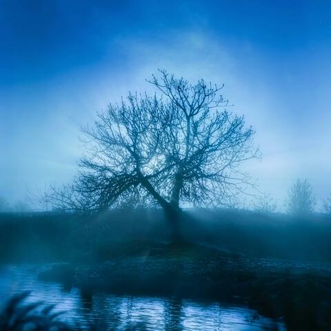 Time for Bed, My Little One