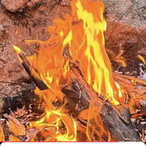 The fire in your eyes (Special Version)