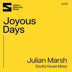 Joyous Days (Soulful House Radio Mix)