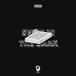 Swim In The Dark
