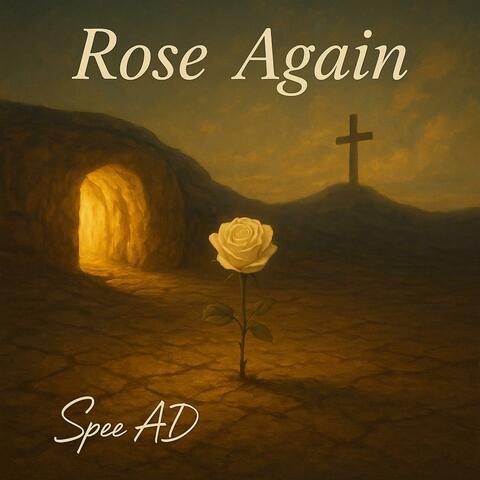 Rose Again