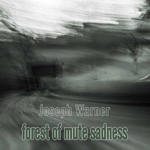 forest of mute sadness